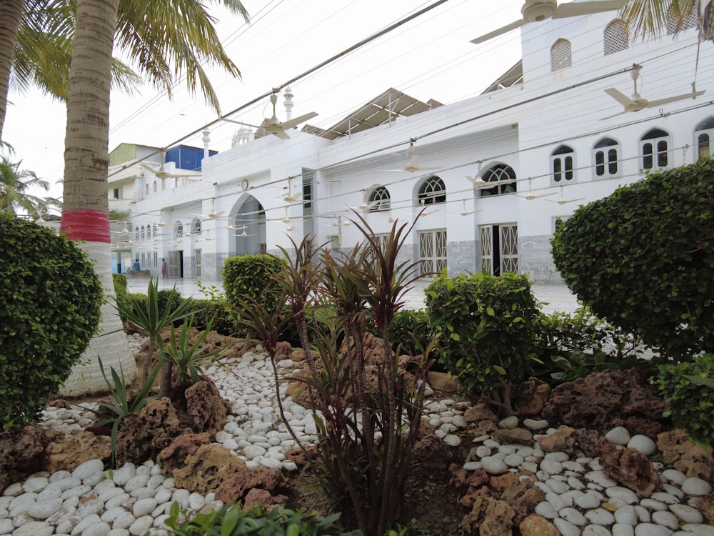 Modern Karachi family home with lawn and car porch